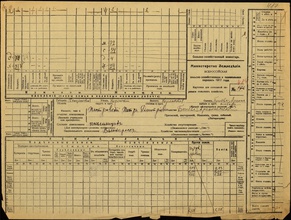 Карточка № 484 Всероссийской сельскохозяйственной и поземельной переписи 1917 года