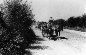 Епископ Гурий с духовенством направляется со ст. Горчаково в г. Фергану на лошадях. Узбекистан, июль 1947