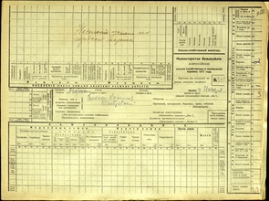 Карточка № 361 Всероссийской сельскохозяйственной и поземельной переписи 1917 года
