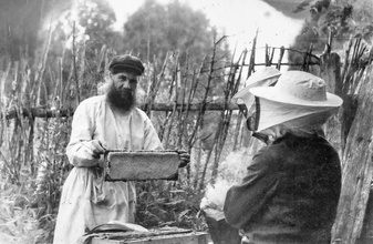 Отец Павел во время сбора меда.<br>Фото из архива Д. Е. Щербины 